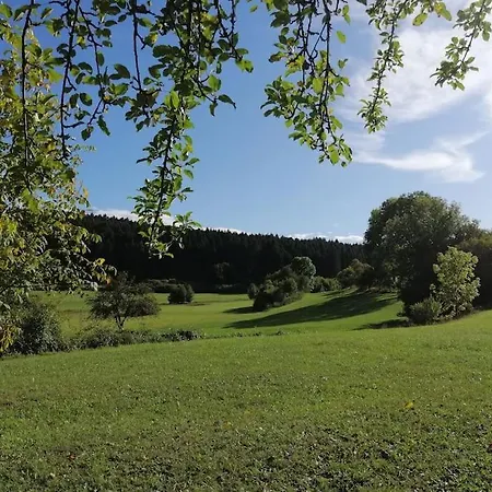 Apartamento Moderne - Neu Renoviert - Ruhige Lage Waldachtal